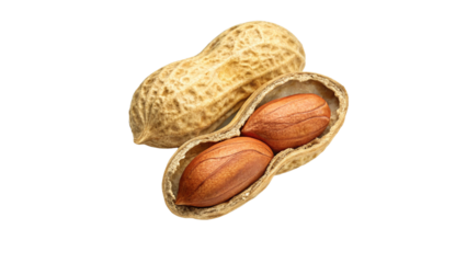 Whole Raw Peanut Shell and Cracked Open Pod with Two Nuts
