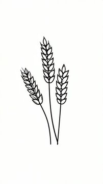 Minimalist illustration of three wheat stalks with grain, on a plain white background, suitable for backgrounds and agricultural design