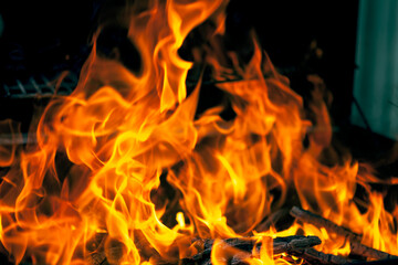Burning Firewood with Bright Flames