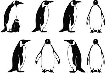 Obraz premium Set of 8 penguin silhouettes featuring various standing poses and profiles including adult penguin with chick for arctic wildlife education and nature conservation branding