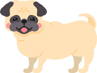 ピンクのほっぺが可愛いパグ