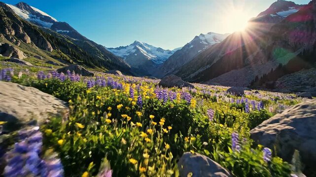 Vibrant alpine meadow awakens with a profusion of colorful wildflowers under bright mountain sunlight and blue sky