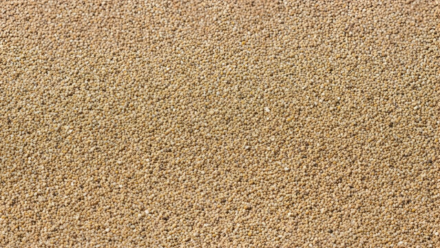 A close-up, high-angle view of a textured, granular surface, likely sand or fine gravel, with a uniform light brown color.