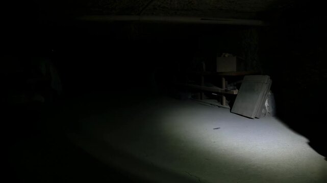 Exploring a dimly lit basement with mysterious shadows and abandoned objects