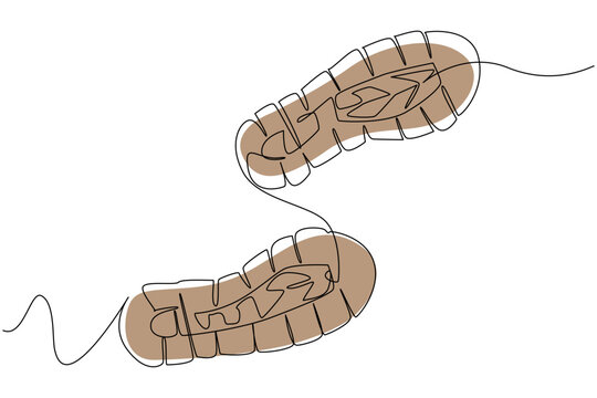 Single one line drawing boot print. Footsteps as witnesses of history. Hiking shoes with a distinctive pattern. Anti slip. Waterproof. National Trails Day. Continuous line design graphic illustration