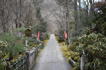 Stone Path Leading to a Buddhist Temple in a Quiet Forest