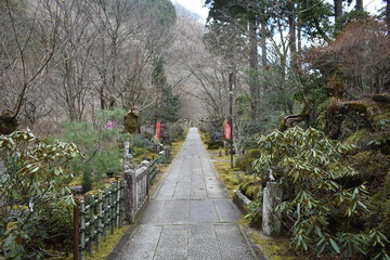 Stone Path Leading to a Buddhist Temple in a Quiet Forest