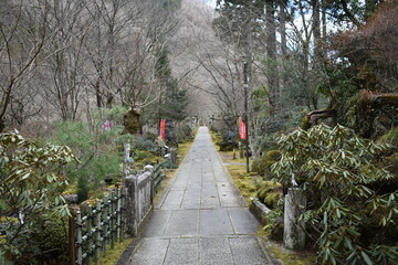 Stone Path Leading to a Buddhist Temple in a Quiet Forest