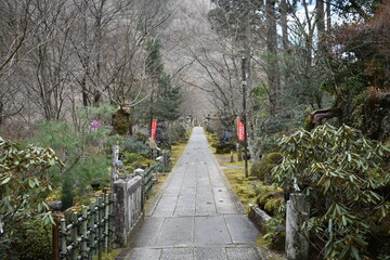 Stone Path Leading to a Buddhist Temple in a Quiet Forest