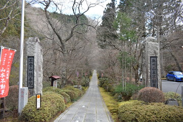 Stone Path Leading to a Buddhist Temple in a Quiet Forest