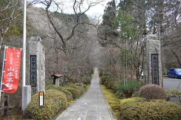 Stone Path Leading to a Buddhist Temple in a Quiet Forest