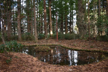 八槻都々古別神社