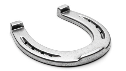 Silver horseshoe, angled to the right, resting on white, casting a gentle shadow