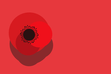 Red poppies on a red background. Remembrance and Reconciliation Day. We never forget. vector illustration