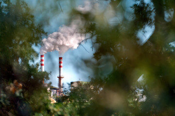 Industrial chimneys emitting white smoke, seen through green tree foliage, symbolizing air pollution and environmental impact
