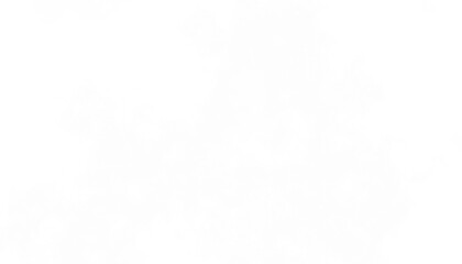 Realistic white clouds fog overlay isolated on the transparent background