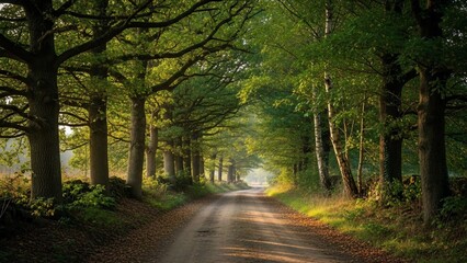Sunlit forest path winding through a majestic tree tunnel in the morning.