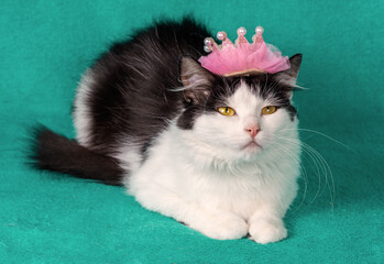 A beautiful black and white cat with a pink crown on its head against a green background. Christmas theme