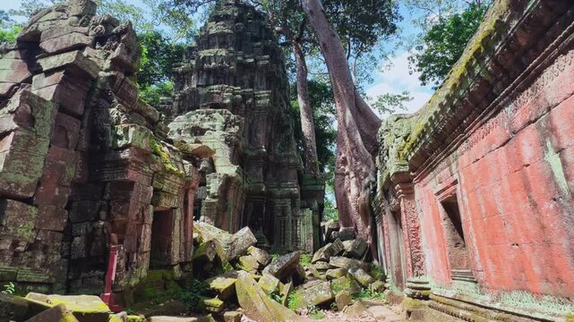 Ta Prom, temple of Khmer civilization, Angkor, Cambodia. Tree roots intertwine with stones, walls, and terraces. Stone walls are covered with tree roots. Ruins in the jungle. 4К