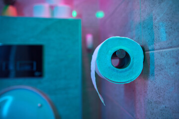 Toilet paper roll in the bathroom, shallow depth of field and selective focus.