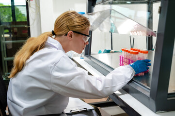 Female scientist working and analyzing medical test in laboratory 