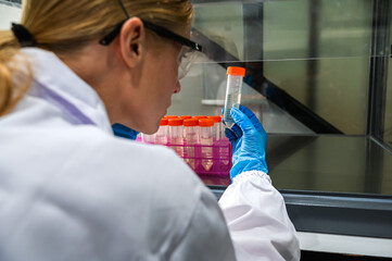 Female scientist working and analyzing medical test in laboratory 