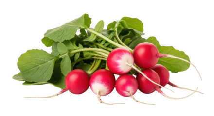 Small computer monitor on a transparent background with icons