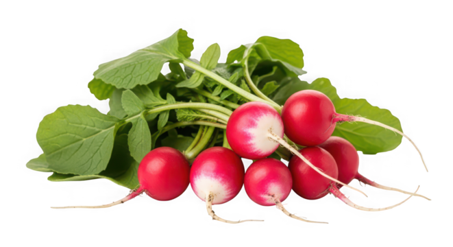 Small computer monitor on a transparent background with icons - Powered by Adobe