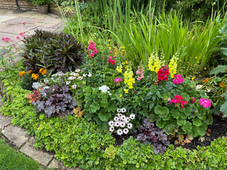 Naklejka premium Flower bed with colourful annuals and bedding plants, England