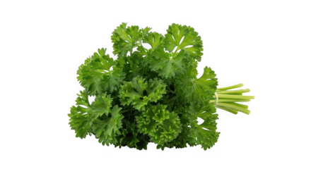 Iced coffee with milk and mint leaf, of transparent