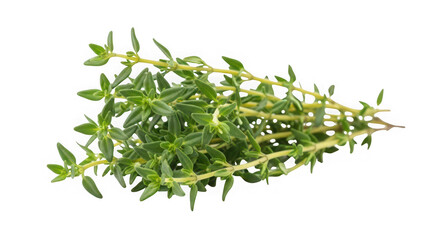 Refreshing cucumber mint infused water with ice cubes and lime slices, of transparent