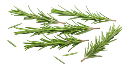 Delicious bubble tea with caramel syrup and tapioca pearls, of transparent