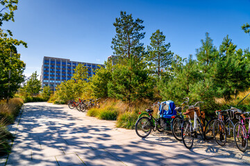 Bicycles parked in a green city square in Copenhagen. Popular eco mode of transport in Scandinavia, Denmark. © Tomasz