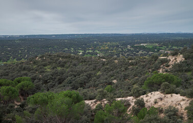 Holm Oak forest  in Monte del Pardo, Madrid, Spain, featuring green-covered hills and scattered trees. In the background, mountains and a cloudy sky create a serene, natural landscape