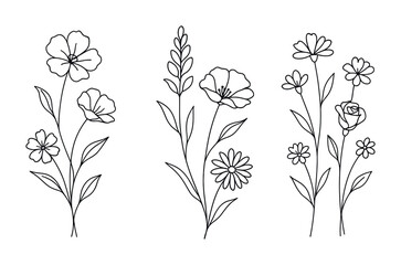 Minimal black line art botanical flowers set with stems and leaves, simple floral doodle outlines for coloring, tattoo, and elegant design