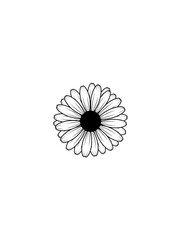 Obraz premium Black and white outline illustration of a daisy flower