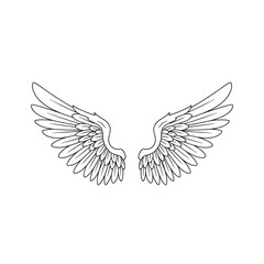 Obraz premium Detailed Line Art of Angel Wings on White Background.