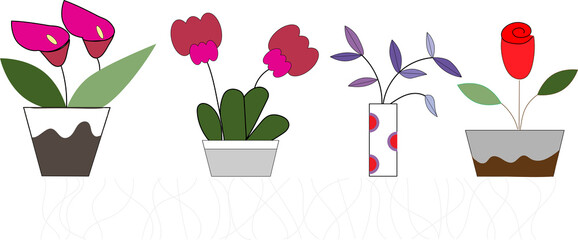 Collection of potted plant illustrations in a minimal and modern flat design. Featuring a variety of houseplants, succulents, and tropical leaves.