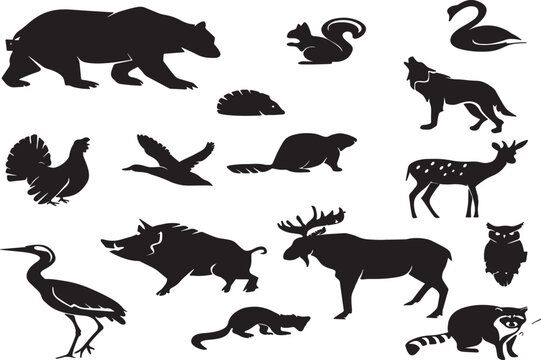 Detailed analysis of an eps file metadata and its properties