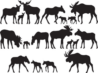 Abstract vector design featuring grayscale and color elements created in illustrator