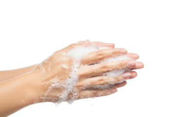 A close-up shot of human hands covered in rich white soap suds, emphasizing good hygiene and cleanliness isolated on transparent background
