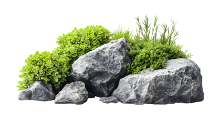Rocks and lush greenery , Isolated on White background.