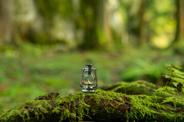 森の中のオイルランタン