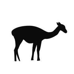 Fototapeta premium Llama Silhouette Illustration South American Animal
