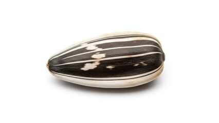 Stripped sunflower seed, white background, slightly angled