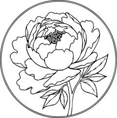 Obraz premium Elegant peony blossom illustration captured within a circular frame, perfect for sophisticated branding and natural designs.