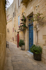 Fototapeta premium Alleyway with Blue Door