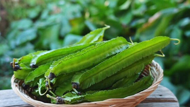 Fresh winged beans in a basket.