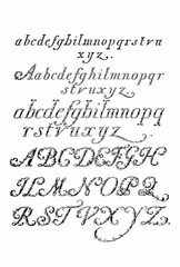Naklejka premium Decorative alphabet letter with artistic and ornate typography, detailed linework and stylized design, ideal for logos, posters, tattoos and branding.