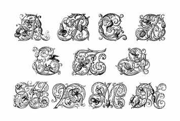 Decorative alphabet letter with artistic and ornate typography, detailed linework and stylized design, ideal for logos, posters, tattoos and branding.